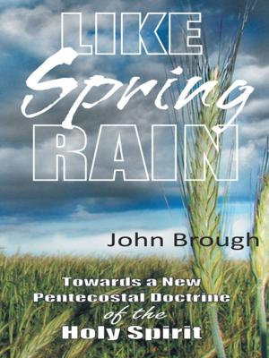 Cover of the book Like Spring Rain by Paul C. Jones  PhD