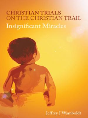 Cover of the book Christian Trials on the Christian Trail by Tanya Packer