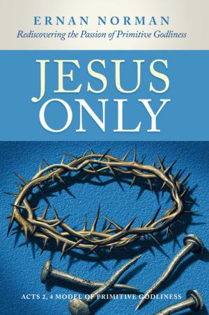 Cover of the book Jesus Only by Brown Eagle