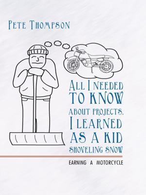 bigCover of the book All I Needed to Know About Projects, I Learned as a Kid Shoveling Snow by 