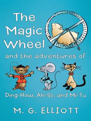 Cover of the book The Magic Wheel by Cathy Hopper
