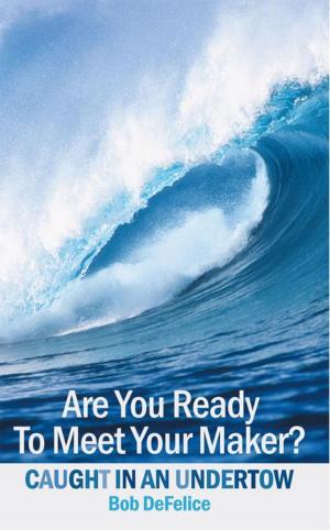 Cover of the book Are You Ready to Meet Your Maker? by Brenton Cox