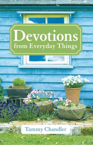 Cover of the book Devotions from Everyday Things by Jeffrey A. Romero