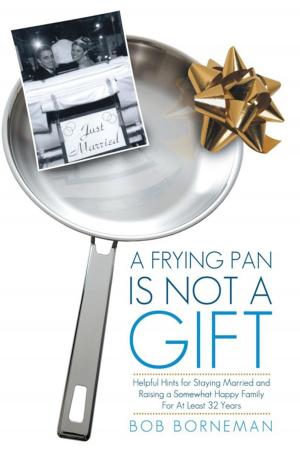 Cover of the book A Frying Pan Is Not a Gift by Jeff Abels, Tobe Momah