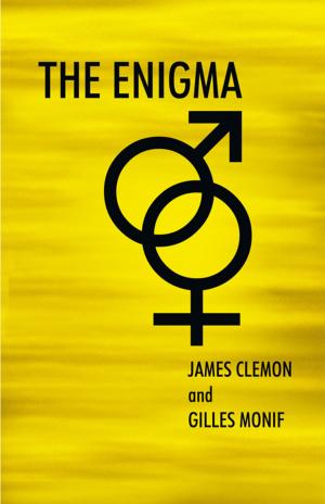 Cover of the book The Enigma by C. Rea Jordan
