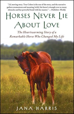 Book cover of Horses Never Lie about Love