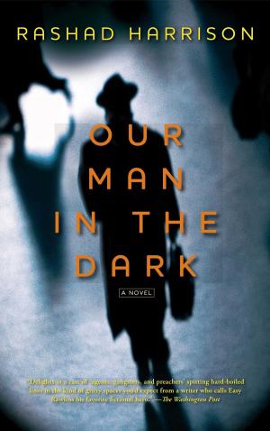 Cover of the book Our Man in the Dark by Stephen Frey