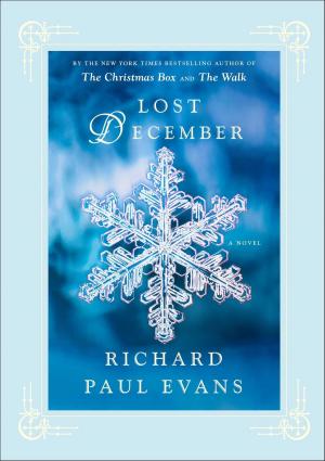 Cover of the book Lost December by Donna J. Farris