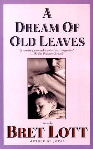 bigCover of the book A Dream of Old Leaves by 