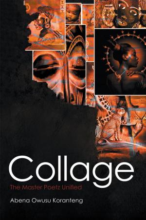 Cover of the book Collage by Dustin Feyder