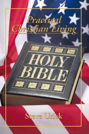 Cover of the book Practical Christian Living by Torri Hansen