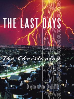 Cover of the book The Last Days by Ana J. Garcia