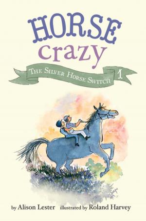 Cover of The Silver Horse Switch