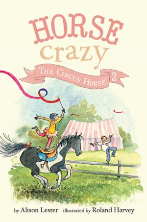 Cover of the book The Circus Horse by Taro Gomi