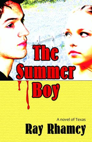 Cover of the book The Summer Boy by I. J. Parker