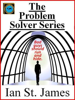 Book cover of The Problem Solver Series