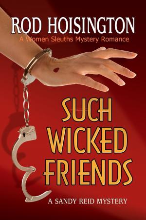 Cover of Such Wicked Friends A Women Sleuths Mystery Romance (Sandy Reid Mystery Series #3)