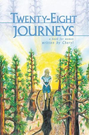 Cover of the book Twenty-Eight Journeys by Angelo Meijers