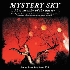 bigCover of the book Mystery Sky by 