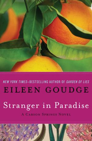 Cover of the book Stranger in Paradise by Jennifer Johnston
