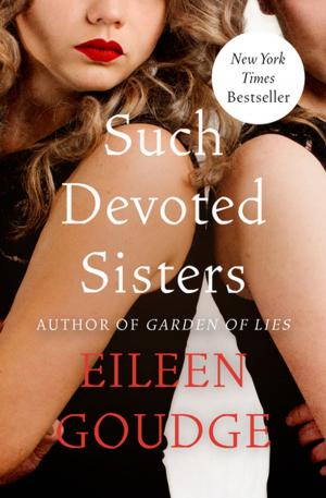 Cover of the book Such Devoted Sisters by Bertice Berry