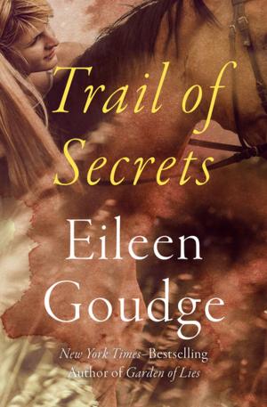 Book cover of Trail of Secrets