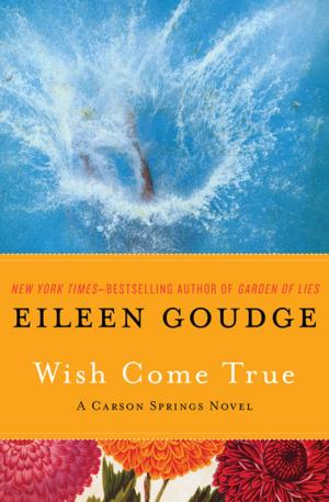 Cover of the book Wish Come True by Damien Lewis
