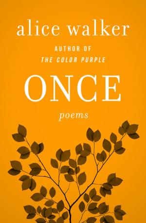 Cover of the book Once by Brenda Peddigrew