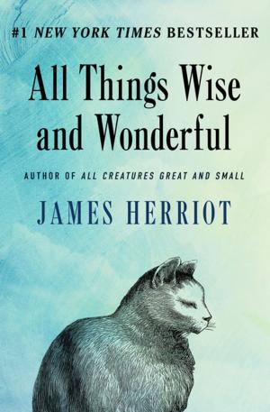 Cover of the book All Things Wise and Wonderful by James Joyce