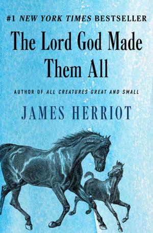 Book cover of The Lord God Made Them All