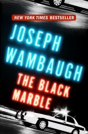 Cover of the book The Black Marble by M.G Gardner