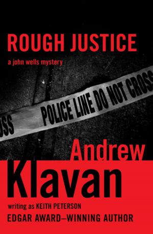 Cover of the book Rough Justice by Brandilyn Collins