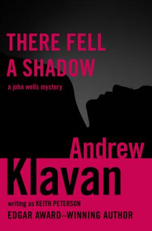 Cover of the book There Fell a Shadow by Brayden Hirsch