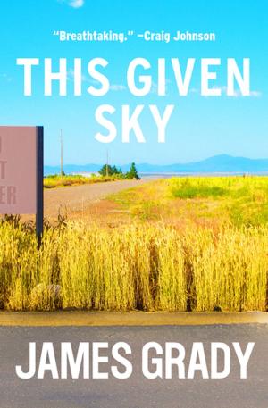 Book cover of This Given Sky