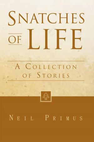 Cover of the book Snatches of Life by Richard Todd Meeks II
