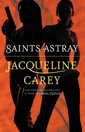 Cover of the book Saints Astray by Richard Ankony