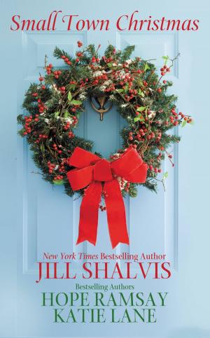 Cover of the book Small Town Christmas by Nicholas Carlson