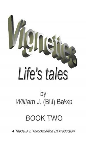 Cover of the book Vignettes - Life's Tales Book Two by Don Saracen