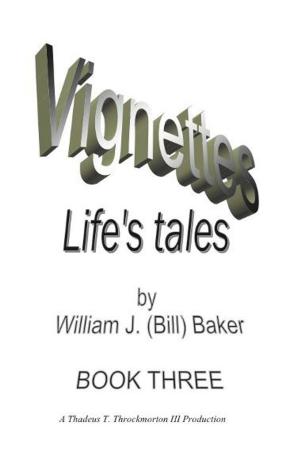 Cover of the book Vignettes - Life's Tales Book Three by Mary Ann Froehlich