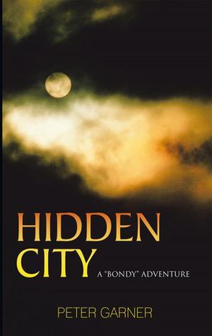 Cover of the book Hidden City by Michael Wash