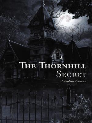 Cover of the book The Thornhill Secret by John Carvalho