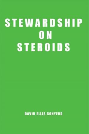 Cover of the book Stewardship on Steroids by Brett Aiken
