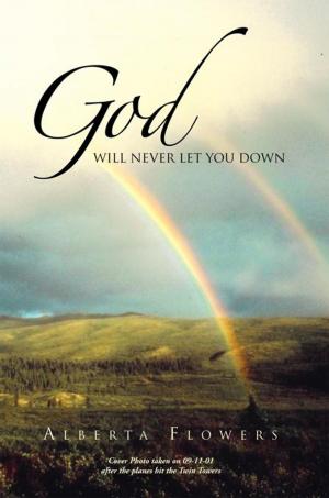 Cover of the book God Will Never Let You Down by Ian Douglas Robertson
