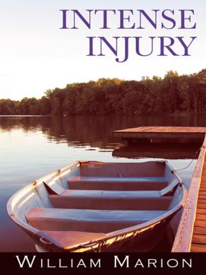 bigCover of the book Intense Injury by 