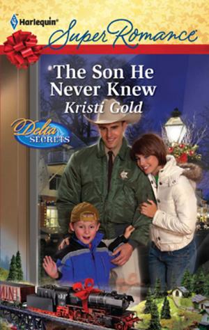 Book cover of The Son He Never Knew