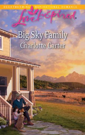 Cover of the book Big Sky Family by Sandra Field