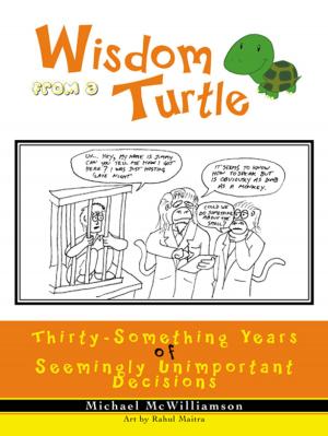 Cover of the book Wisdom from a Turtle by Daniel Blore