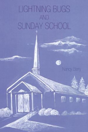 Cover of the book Lightning Bugs and Sunday School by John Edwin Snyder III