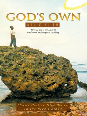 bigCover of the book God's Own by 