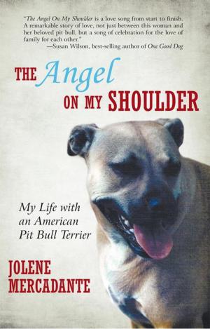 Cover of the book The Angel on My Shoulder by Margot Dolgin